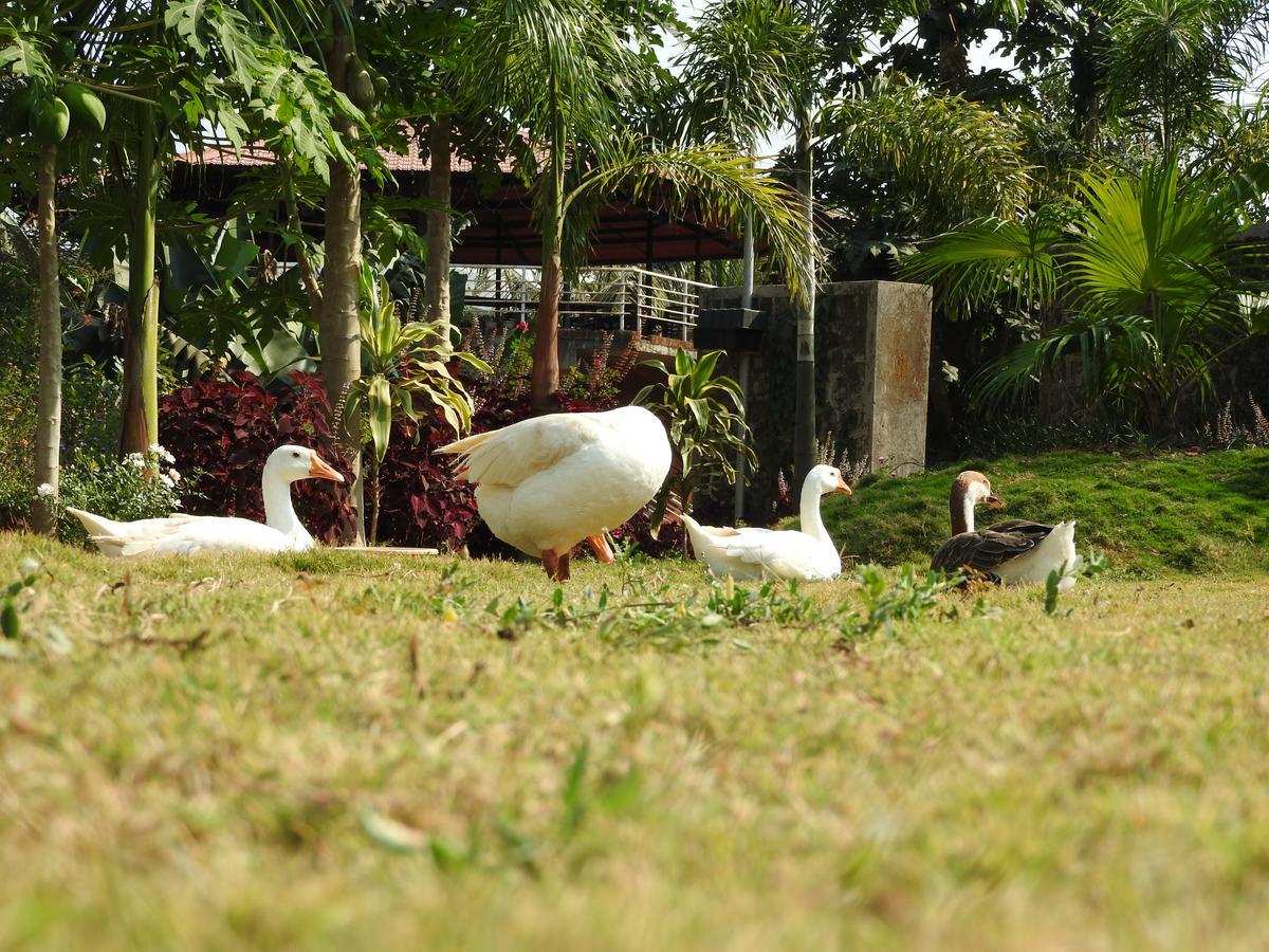 Nature Leap Resort Igatpuri Exterior foto